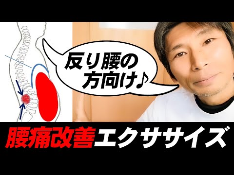 腰痛改善体操（反り腰編）簡単エクササイズ！腰痛即効改善！