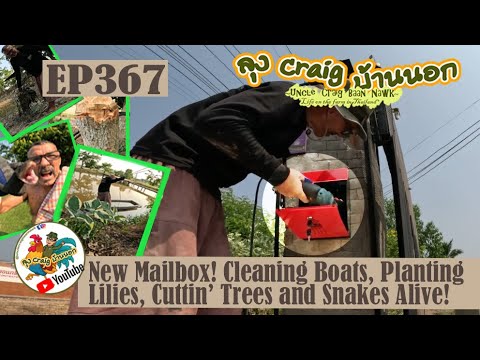 EP367 New Mailbox! Cleaning Boats, Planting Lilies, Cuttin' Trees and Snakes Alive!