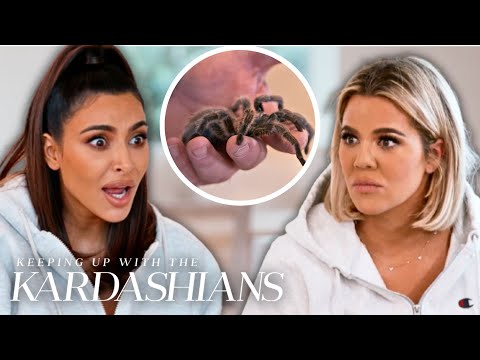 Khloé Kardashian Helps Kim Kardashian Get Over Her Fear of Spiders | KUWTK | E!