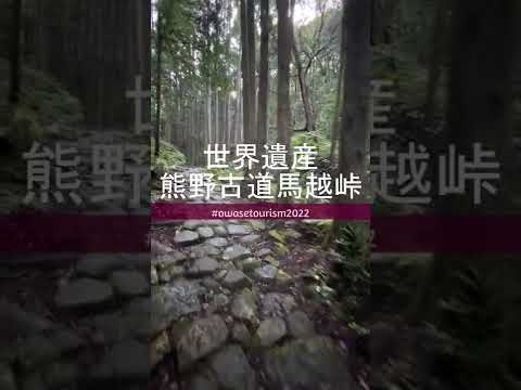 世界遺産熊野古道馬越峠PR動画20　#Shorts