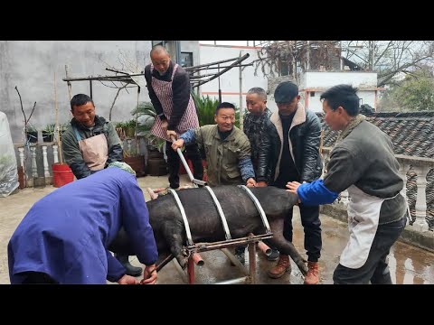 贵州农村地道农家菜，爆炒猪肝，酸辣猪肉，麻辣猪杂【梅子美食】