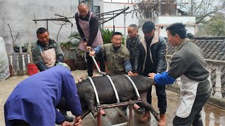 贵州农村地道农家菜，爆炒猪肝，酸辣猪肉，麻辣猪杂【梅子美食】