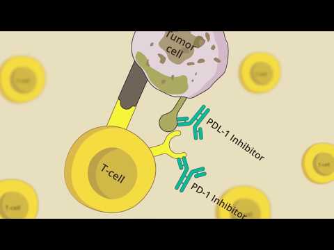 ACEA Transformative Video02: Checkpoint Inhibitors Research Challenges