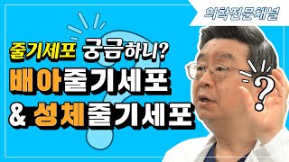 EP26. 줄기세포 궁금하니?🔎배아줄기세포 & 성체줄기세포