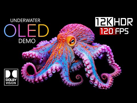 Best of Underwater OLED Demo 12K HDR 120 fps Dolby Vision #hdr #8k