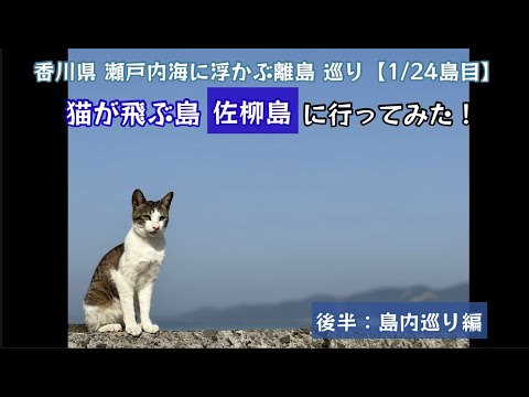 猫が飛ぶ島 佐栁島に行ってみた！瀬戸内海に浮かぶ 離島巡り行ってみた！（後半：島内巡り編）【39のりのり】【瀬戸内海に浮かぶ島 1／24島目】