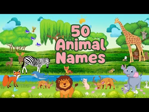 50 animals names #animals #animalsname #animalnames #animalsvideo #animalsvideoforkids