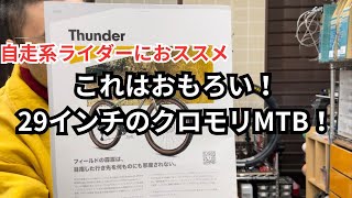 これはおもろい！29インチのクロモリMTB！　BREEZER　サンダー