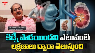 Nephrologist Dr.Sree Bhushan Raju About Symptoms Of Kidney Damage/Failure | Types Of Dialysis