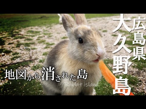 【うさぎ島】国家機密の悲惨な過去がある大久野島。今ではうさぎパラダイス！【Rabbit Island Ohkunoshima】