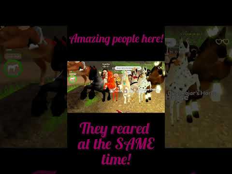 Join the Line Part 5! #roblox #wildhorseislands #fun #newfans #fans #horse #horses