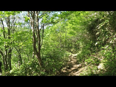 立烏帽子山～池の段周遊