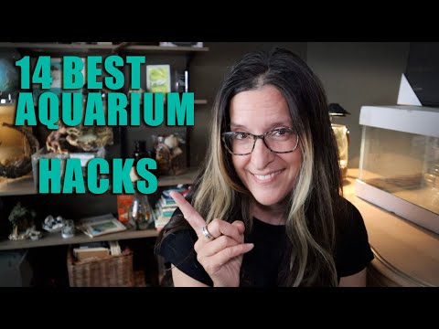 My 14 BEST Aquarium Hacks! Weird But They Work!