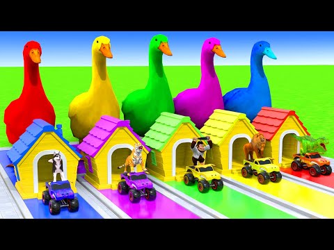 5 Giant Duck Cartoon,Cow,Elephant,Tiger,Lion,Dinosaur,Paint Wild Animals Crossing Fountain Animation