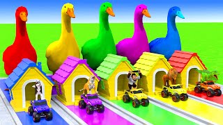 5 Giant Duck Cartoon,Cow,Elephant,Tiger,Lion,Dinosaur,Paint Wild Animals Crossing Fountain Animation