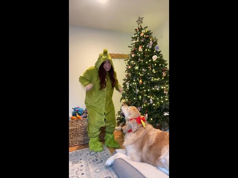 Grinch and Max Costumes