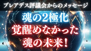 【プレアデスからのメッセージ】魂の二極化と覚醒めなかった魂の未来！