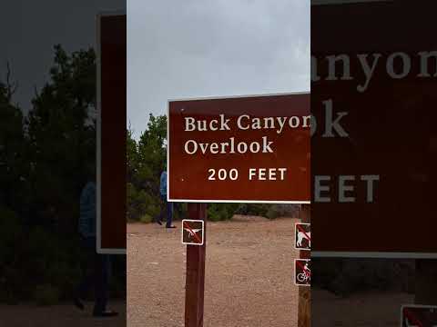 Amazing Views at Buck Canyon Overlook Canyonlands National Park Utah from Moab Hike #Shorts