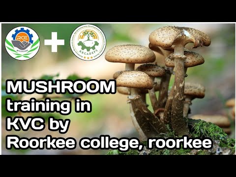 Training of mushroom in Krishi Van Centre, dehradoon || Roorkee College, Roorkee