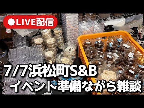 LIVE明日のイベント準備雑談【クワガタ飼育】