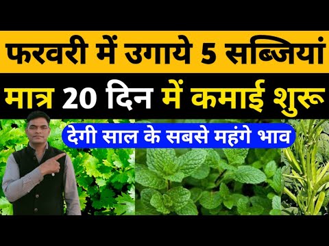 February Me Konsi Sabji Lagaye।फरवरी में लगाई जाने वाली सब्जियां। February Vegetable to Grow