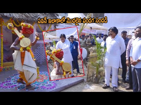 పవన్ ఇలాకాలో మొదలైన పండగ సందడి AP Deputy CM Pawan Kalyan At Pithapuram Sankranthi Celebrations