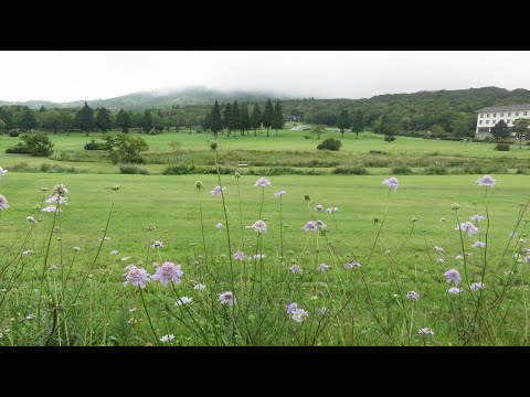 鏡ケ成湿原と象山