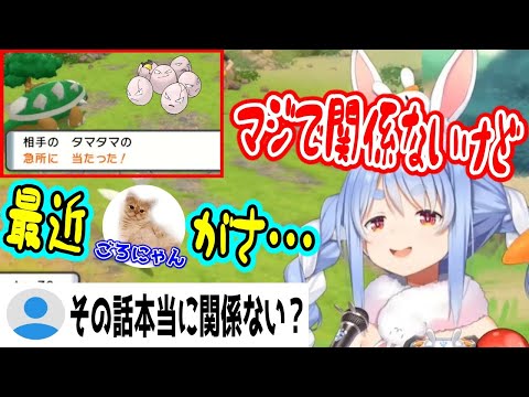 最近去勢した飼い猫の話をはじめるぺこら【兎田ぺこら/ホロライブ切り抜き】