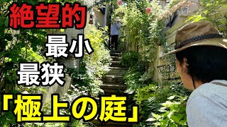 【敷地面積40坪】狭くて暗い庭を極上に仕上げる景子さんのお庭　　　【カーメン君】【個人庭】