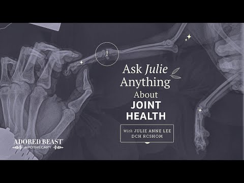 Ask Julie Anything - March 2024 - All About Joint Health