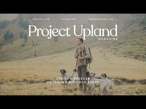 Eurasian Woodcock Hunting - Dad is a Breeder - Project Upland Magazine