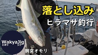 【ヒラマサ】取材に同行して落とし込み釣り