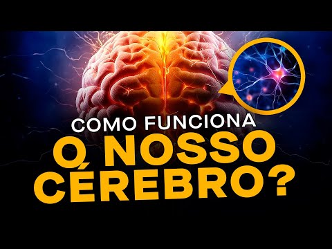 Como funciona o nosso cérebro? - Aula com Fabiano Moulin