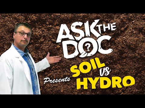 Ask the Doc: Getting Started in Soil vs Hydroponics