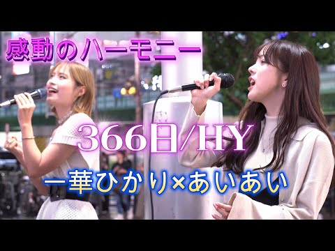 【初コラボ】一華ひかり＆あいあい『366日/HY』夢のコラボに大感動