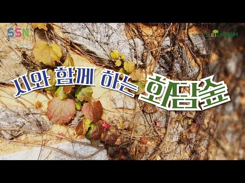 [SSN 촬영 워크샵] 시와 함께 하는 화담숲🍁