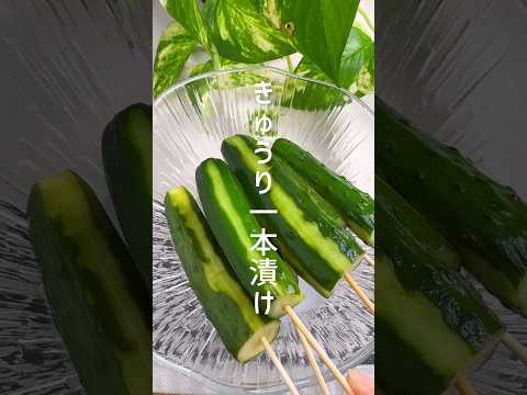 屋台風！きゅうりの一本漬物 #shorts