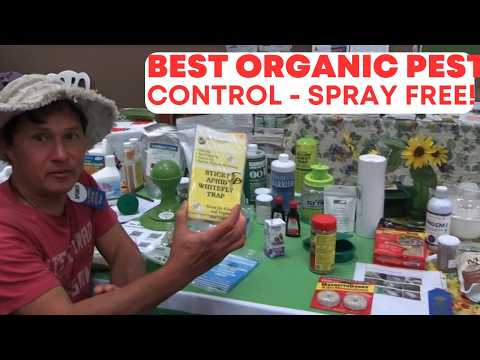 Organic Pest Control: How to Build a Garden That Doesn’t Need Sprays