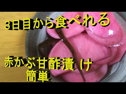 赤かぶ 甘酢漬け　収穫