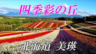 【北海道美瑛 四季彩の丘】今が見頃！！～ミシュラン掲載の隠れ家的ピッツア店