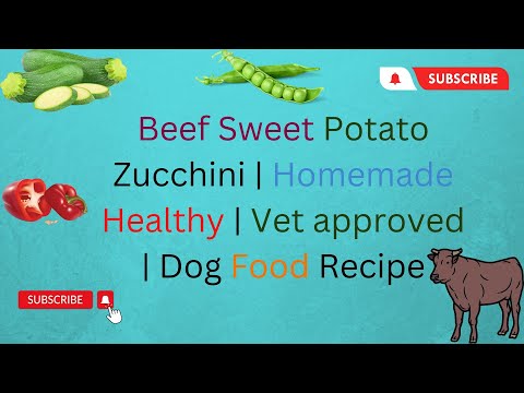 Beef Sweet Potato Zucchini Homemade Healthy Vet approved DIY Dog Food Recipe blogsbyibrar