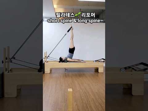 리포머필라테스 🌱 short spine & long spine 💜 척추 마디마디 마시지 #시원하게 #운동 #필라테스 #pilates #shorts