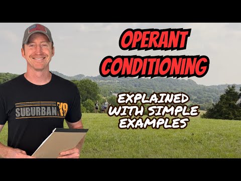 Operant Conditioning In Dog Training: Explained With EXAMPLES!