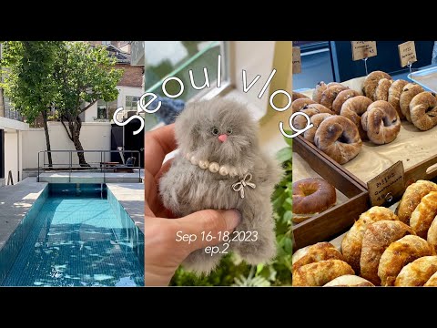 [vlog] 秋の韓国旅行ep.2 | プールが映えるカフェ✨セリサムギョプサル맛집 | 聖水 | 孔徳 | 弘大  | 漢南