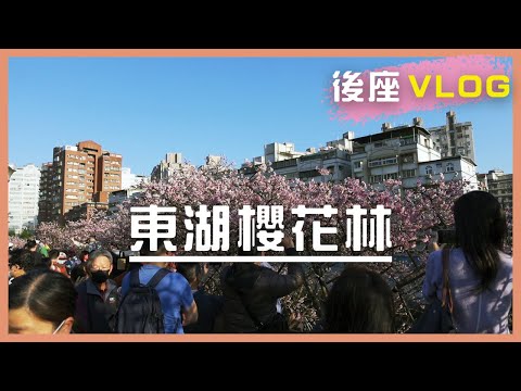 情侶賞櫻去 台北賞櫻勝地~內湖樂活公園櫻花季｜東湖櫻花林｜美味的義大利麵-夯麵坊【後座VLOG】