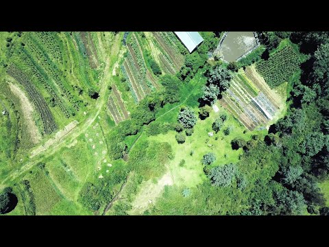 Vuelo por Granja Urkuwayku, nuestra finca familiar orgánica en la sierra de los Andes