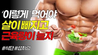 초보부터 중급자까지 헬스 운동 단백질 식단 추천 (근성장, 근육, 음식, 조절, 섭취량, 중요성, 벌크업, 다이어트)