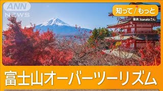 深刻オーバーツーリズム　富士山絶景スポットに観光客殺到…渋滞＆私有地侵入も【もっと知りたい！】【グッド！モーニング】(2024年12月15日)