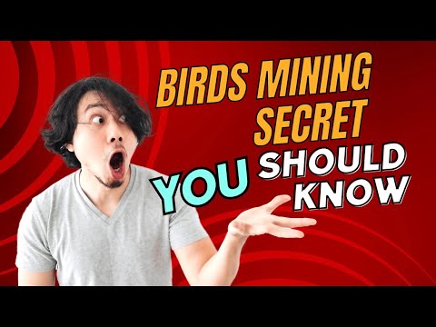 Birds AIRDROP mining app on telegram/ How to start earning with birds/How to play birds AIRDROP