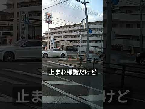 97 同じ進行方向の歩行者信号は青だからさ、車道の止まれの標識止まらんのさ、おいおい止まれよ #shorts